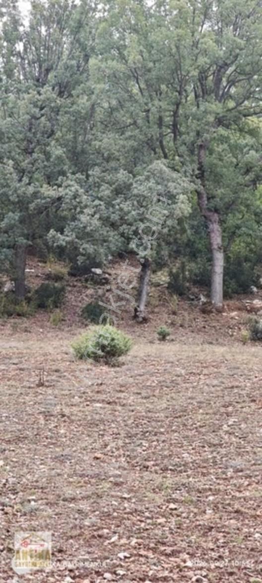 Antika Gayrimenkul'den Altınyayla'da Satılık Tarla — fotoğraf 3