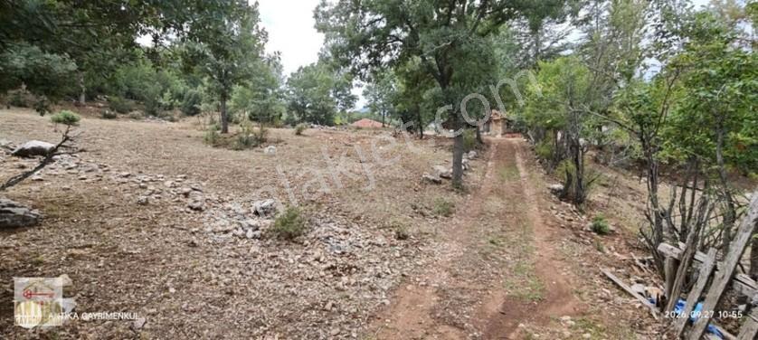Antika Gayrimenkul'den Altınyayla'da Satılık Tarla — fotoğraf 4
