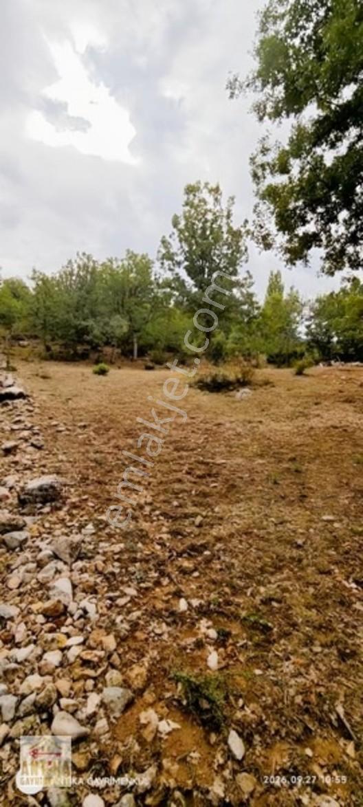 Antika Gayrimenkul'den Altınyayla'da Satılık Tarla — fotoğraf 5