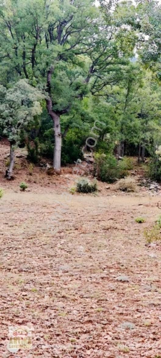 Antika Gayrimenkul'den Altınyayla'da Satılık Tarla — fotoğraf 6
