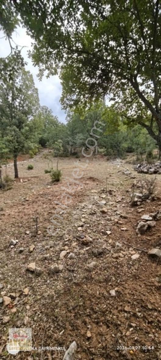 Antika Gayrimenkul'den Altınyayla'da Satılık Tarla — fotoğraf 8