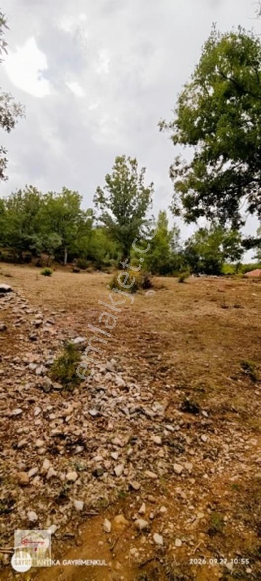 Antika Gayrimenkul'den Altınyayla'da Satılık Tarla — fotoğraf 9