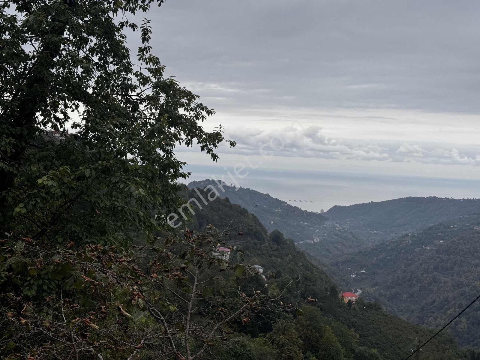 Özgür Emlaktan Fırsat İki Parsel Arazi — fotoğraf 3