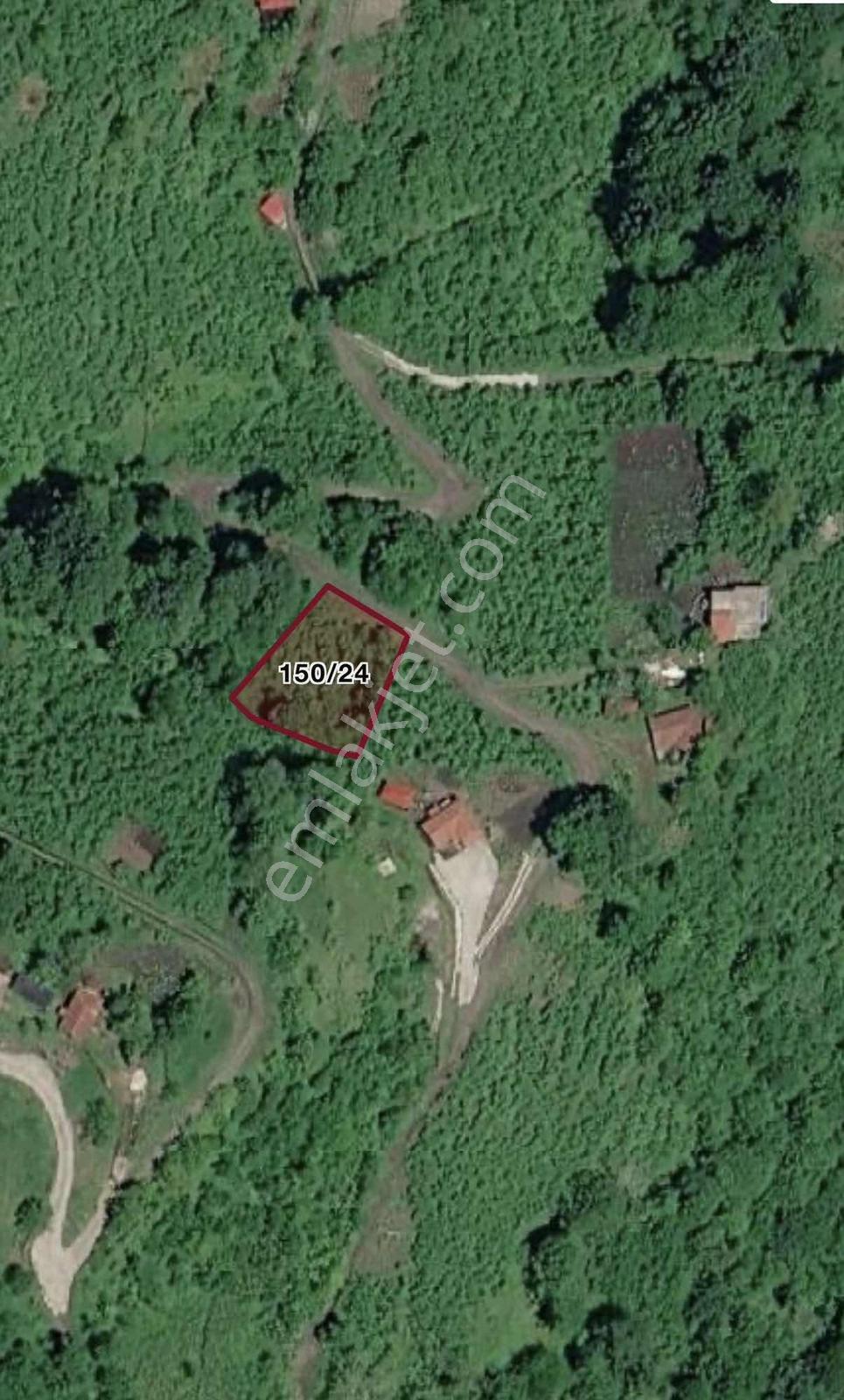 Özgür Emlaktan Fırsat İki Parsel Arazi — fotoğraf 17