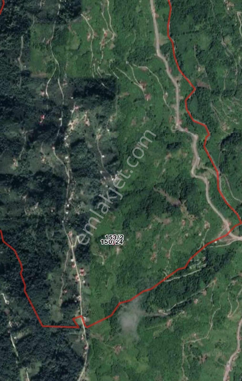 Özgür Emlaktan Fırsat İki Parsel Arazi — fotoğraf 19