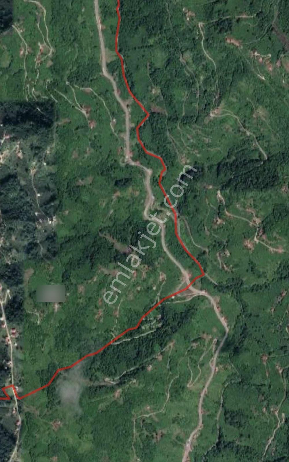 Özgür Emlaktan Fırsat İki Parsel Arazi — fotoğraf 21