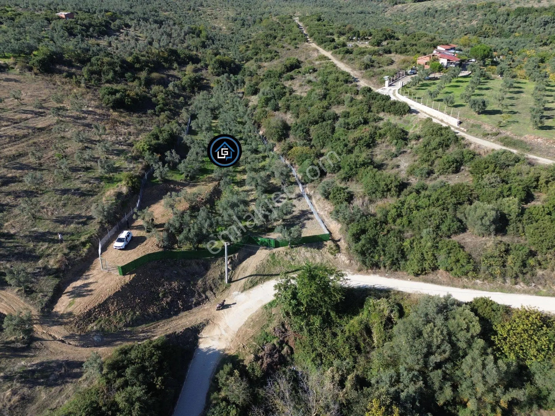 Limax'tan Çeltikçi De Seyir Terası İmara Yakın Zeytinlik — fotoğraf 2