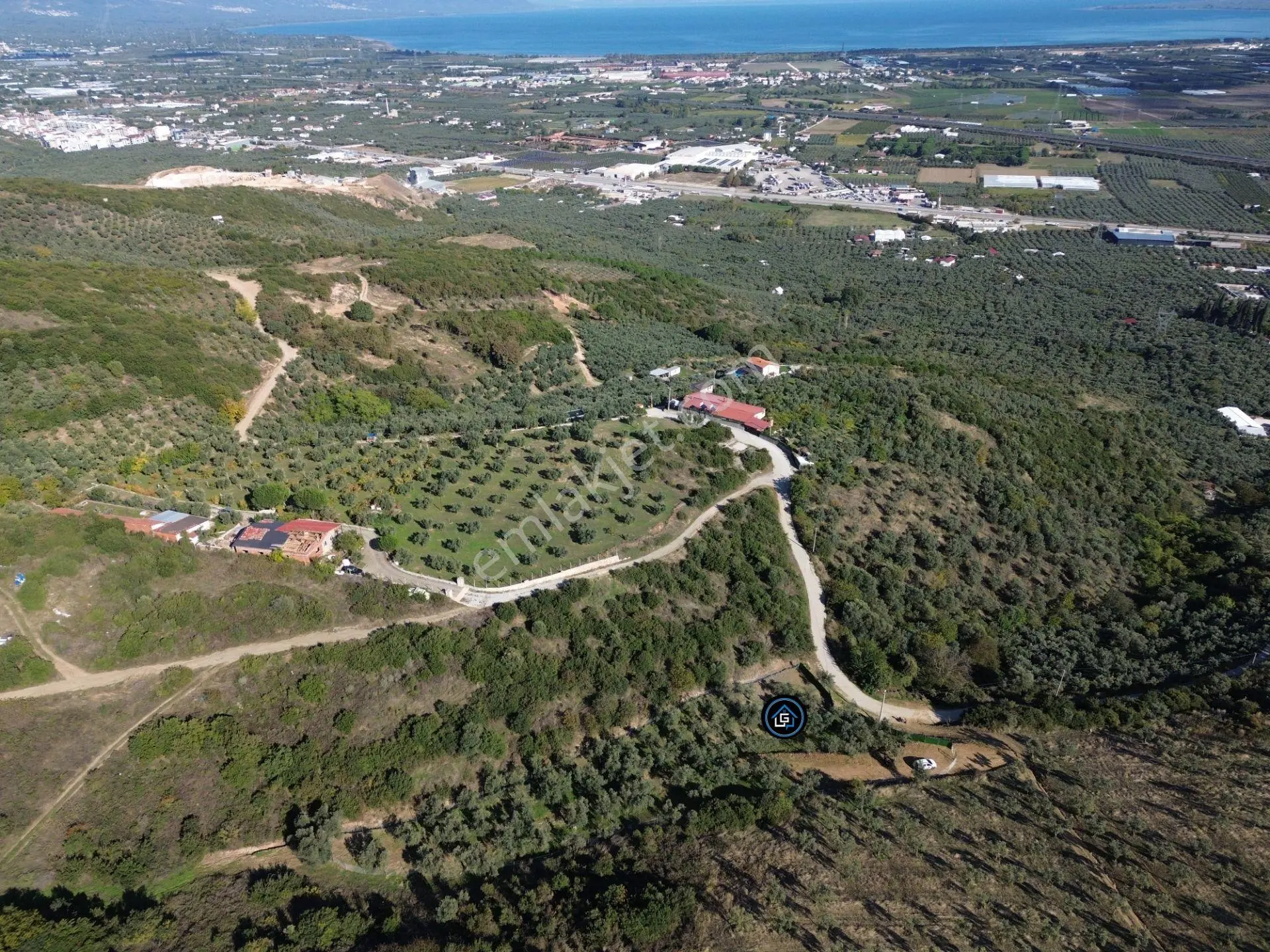 Limax'tan Çeltikçi De Seyir Terası İmara Yakın Zeytinlik — fotoğraf 5