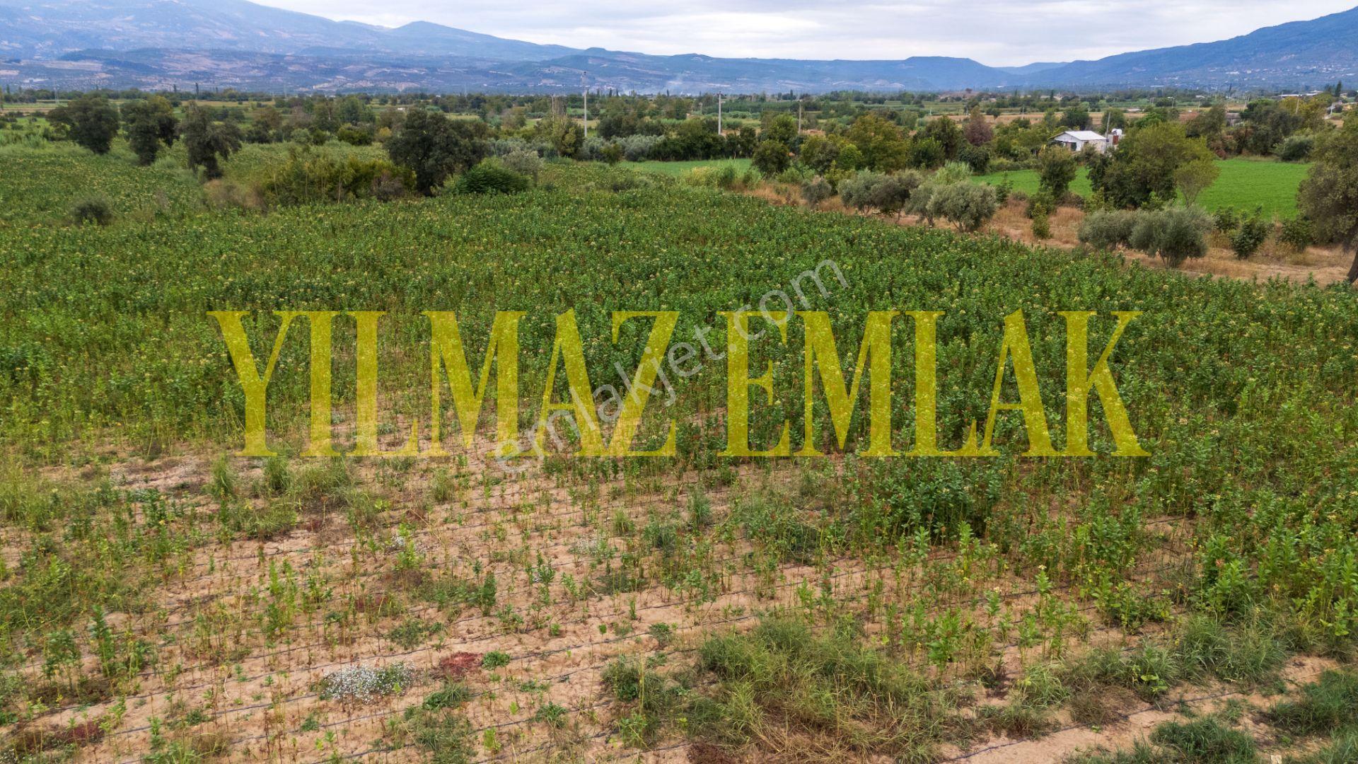 Aydın Bozdoğan Eymir Mahallesi'nde Satılık 8759 M² Tarla — fotoğraf 2