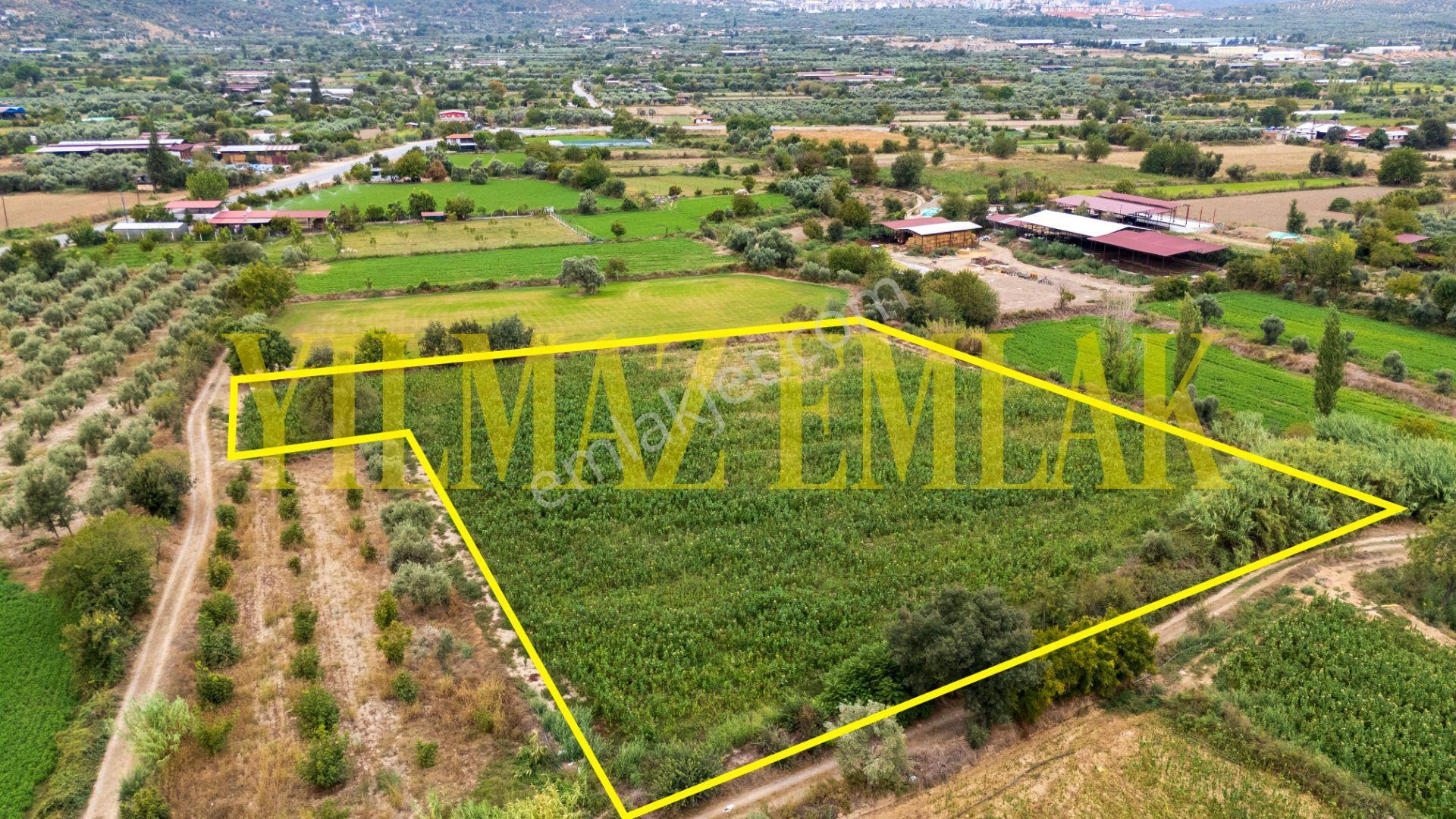 Aydın Bozdoğan Eymir Mahallesi'nde Satılık 8759 M² Tarla — fotoğraf 4
