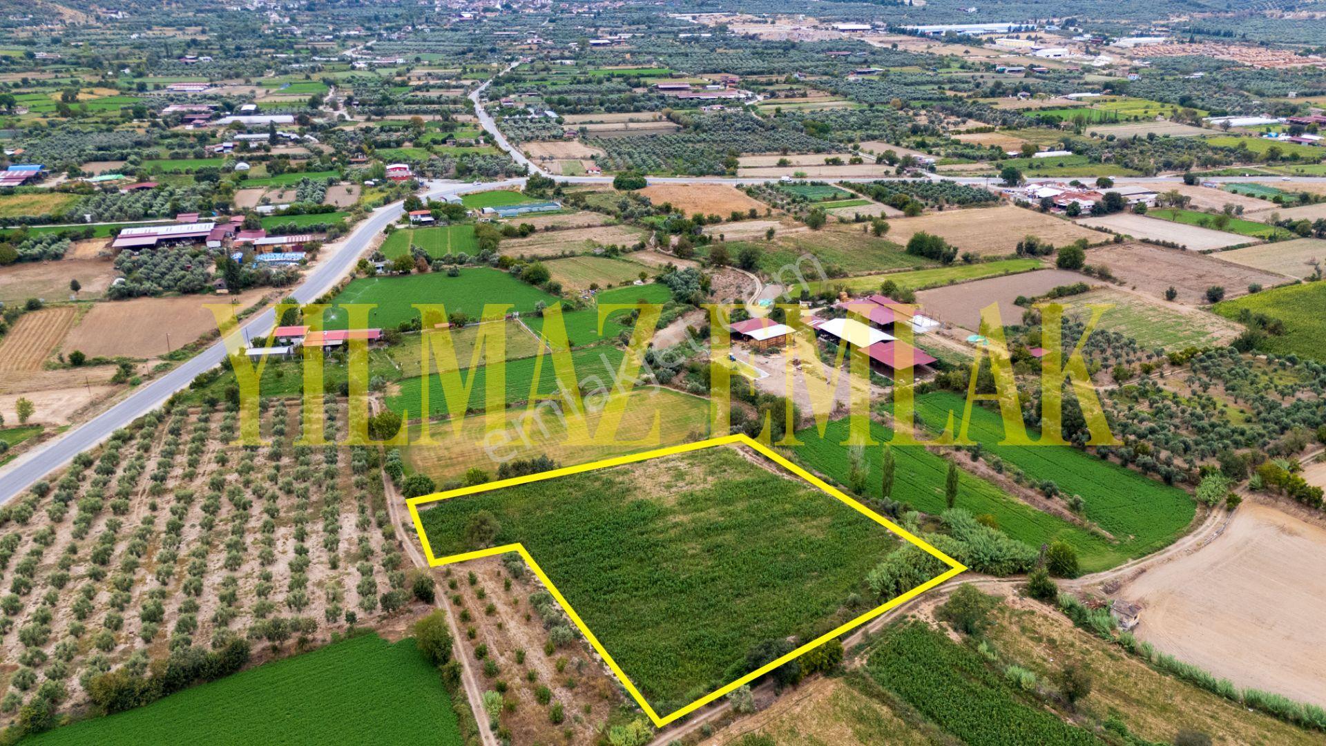 Aydın Bozdoğan Eymir Mahallesi'nde Satılık 8759 M² Tarla — fotoğraf 5