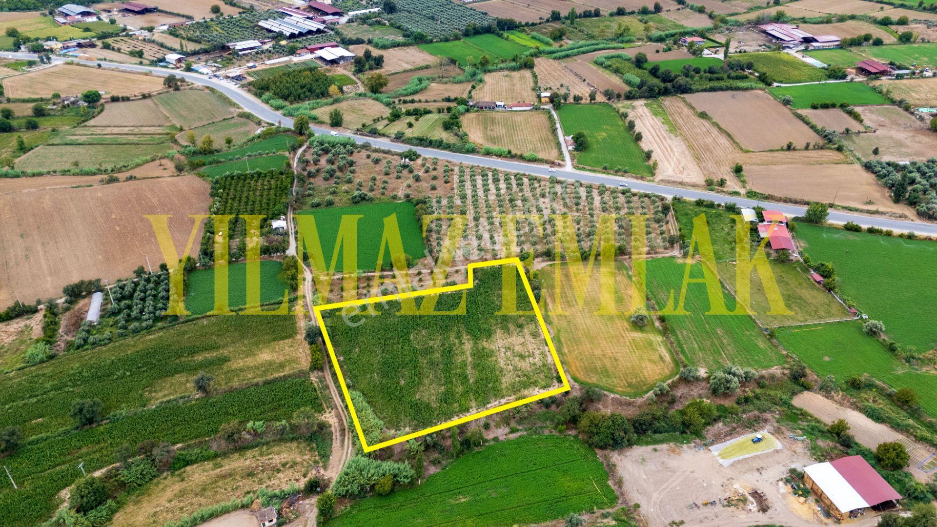 Aydın Bozdoğan Eymir Mahallesi'nde Satılık 8759 M² Tarla — fotoğraf 6