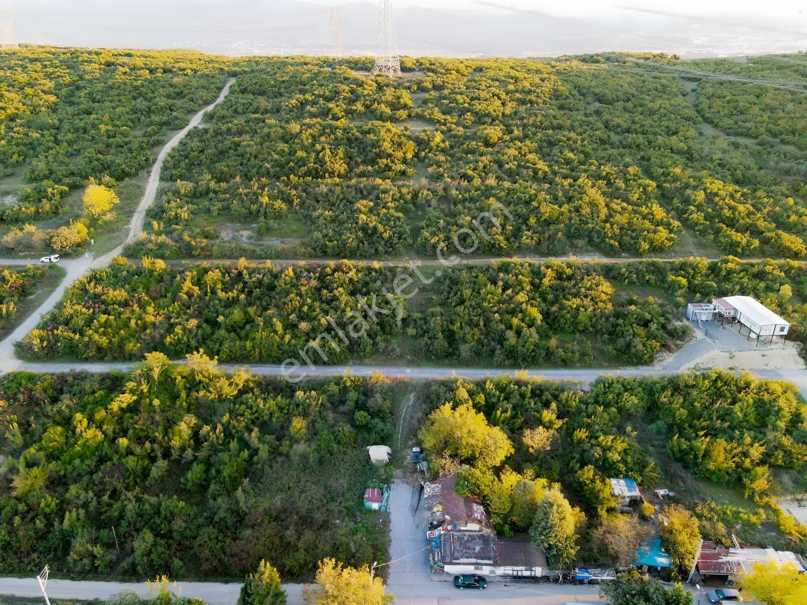 İzmit Karadenizliler Mahallesinde 252 M² Köşe Parsel Ticari Y