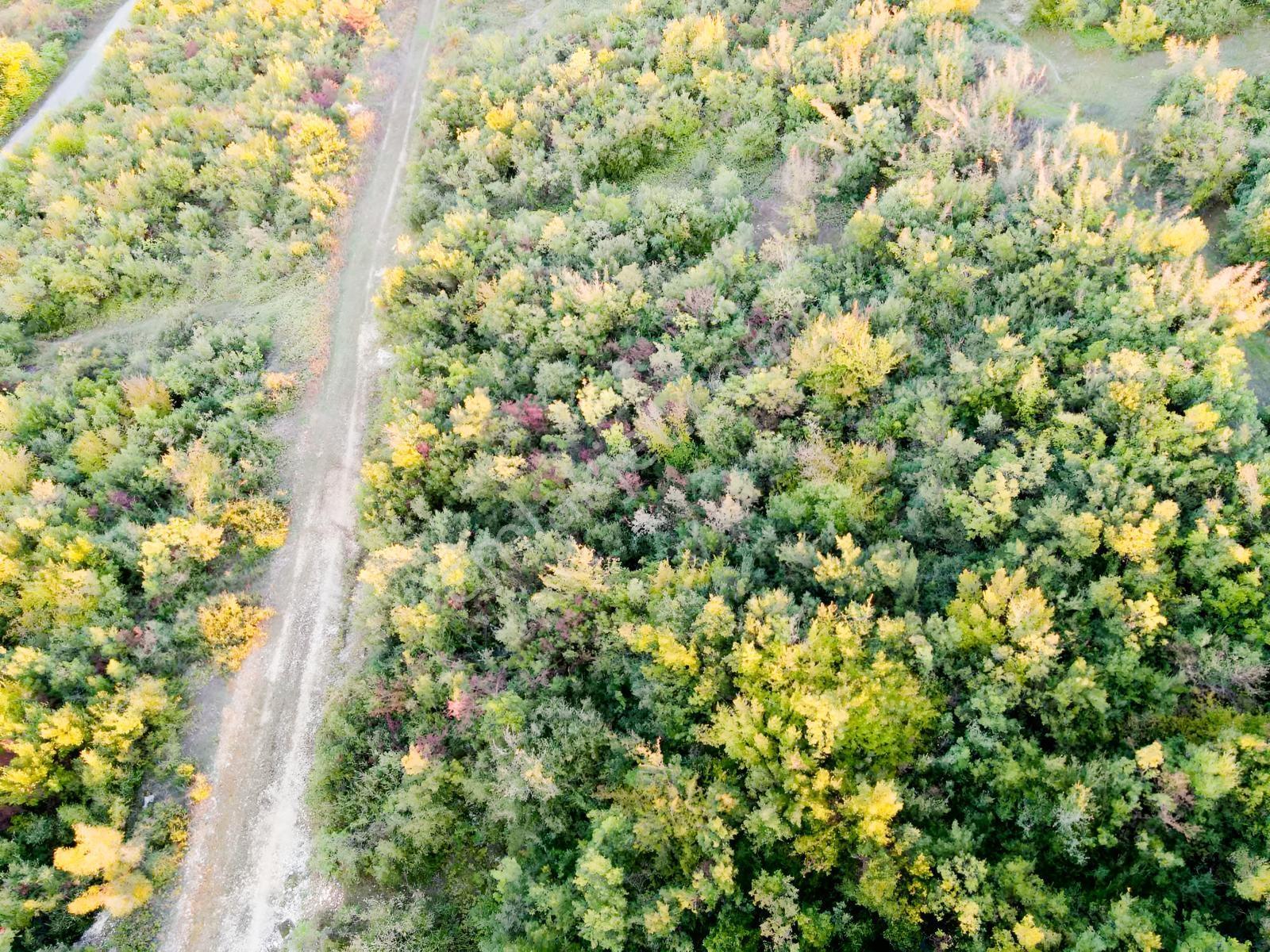 İzmit Karadenizliler Mahallesinde 252 M² Köşe Parsel Ticari Y — fotoğraf 4