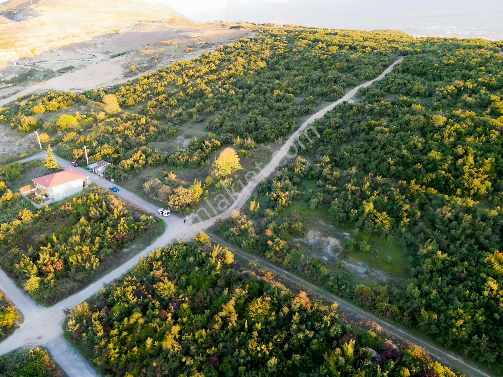 İzmit Karadenizliler Mahallesinde 252 M² Köşe Parsel Ticari Y — fotoğraf 13
