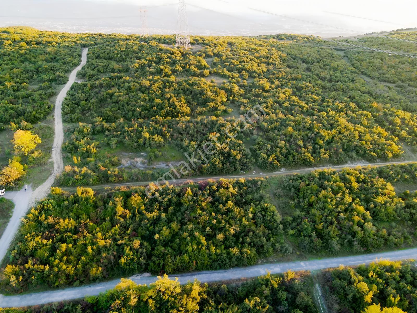 İzmit Karadenizliler Mahallesinde 252 M² Köşe Parsel Ticari Y — fotoğraf 14
