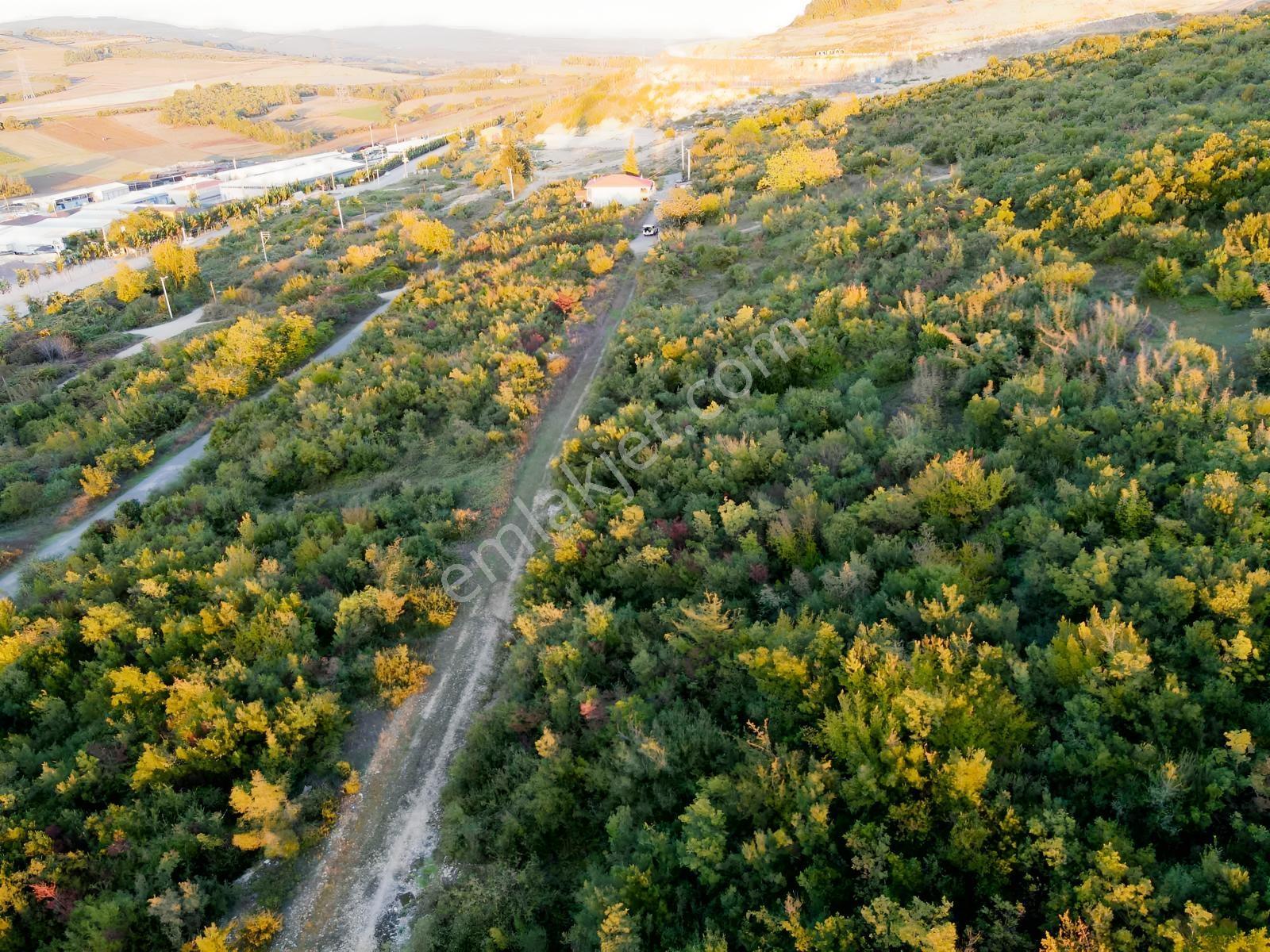 İzmit Karadenizliler Mahallesinde 252 M² Köşe Parsel Ticari Y — fotoğraf 22