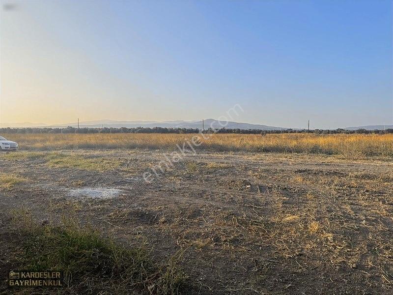 Dayıoğlunda Uygun Fiyatlı Satılık Zeytinli Bahçe — fotoğraf 8