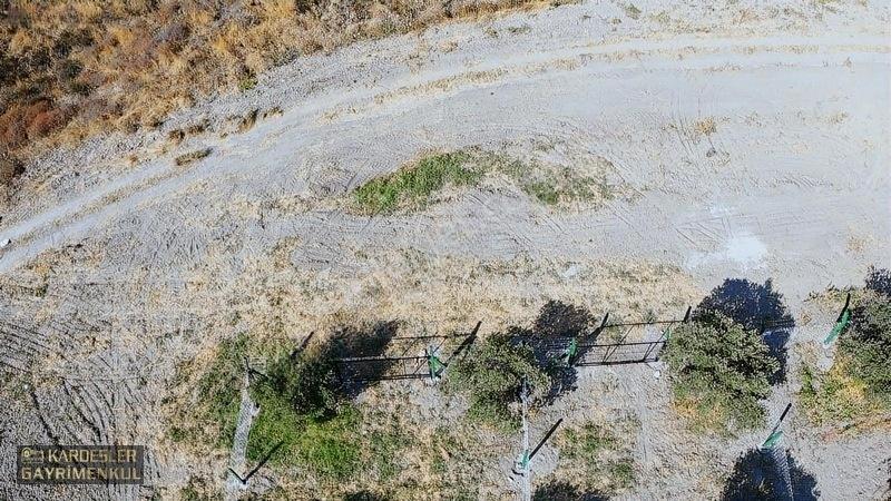 Dayıoğlunda Uygun Fiyatlı Satılık Zeytinli Bahçe — fotoğraf 27