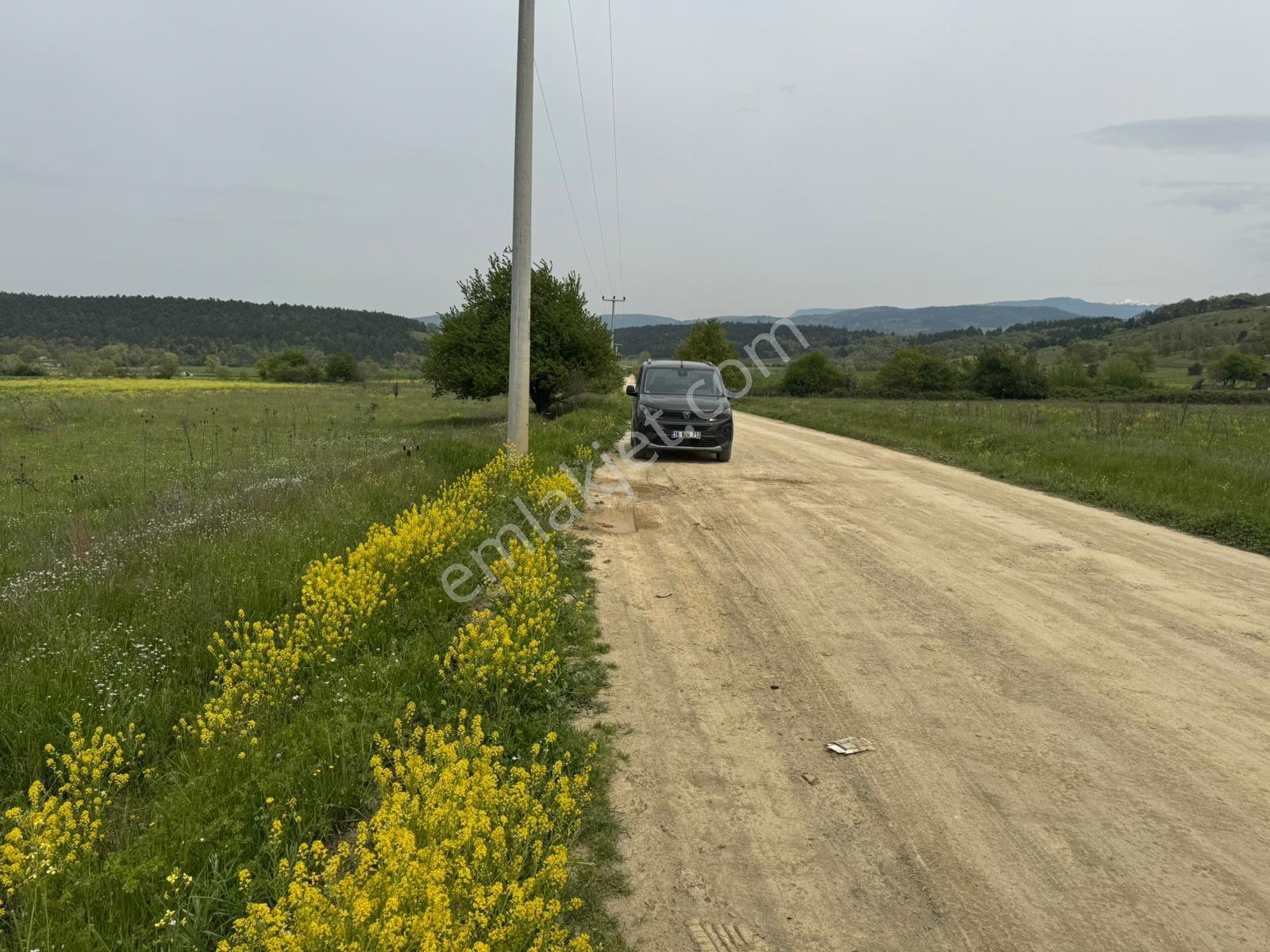 The Point Gayrimenkul 'den Dağyenice Göleti Yakınında Satılık 2.100 M² Yatırımlık Tarla — fotoğraf 2
