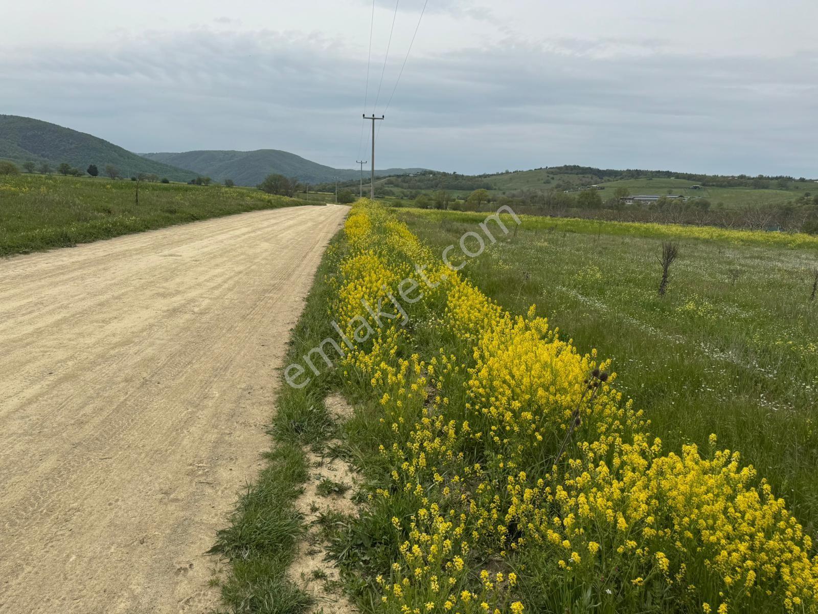 The Point Gayrimenkul 'den Dağyenice Göleti Yakınında Satılık 2.100 M² Yatırımlık Tarla — fotoğraf 3