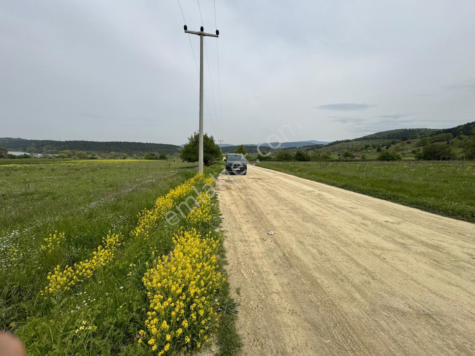 The Point Gayrimenkul 'den Dağyenice Göleti Yakınında Satılık 2.100 M² Yatırımlık Tarla — fotoğraf 4
