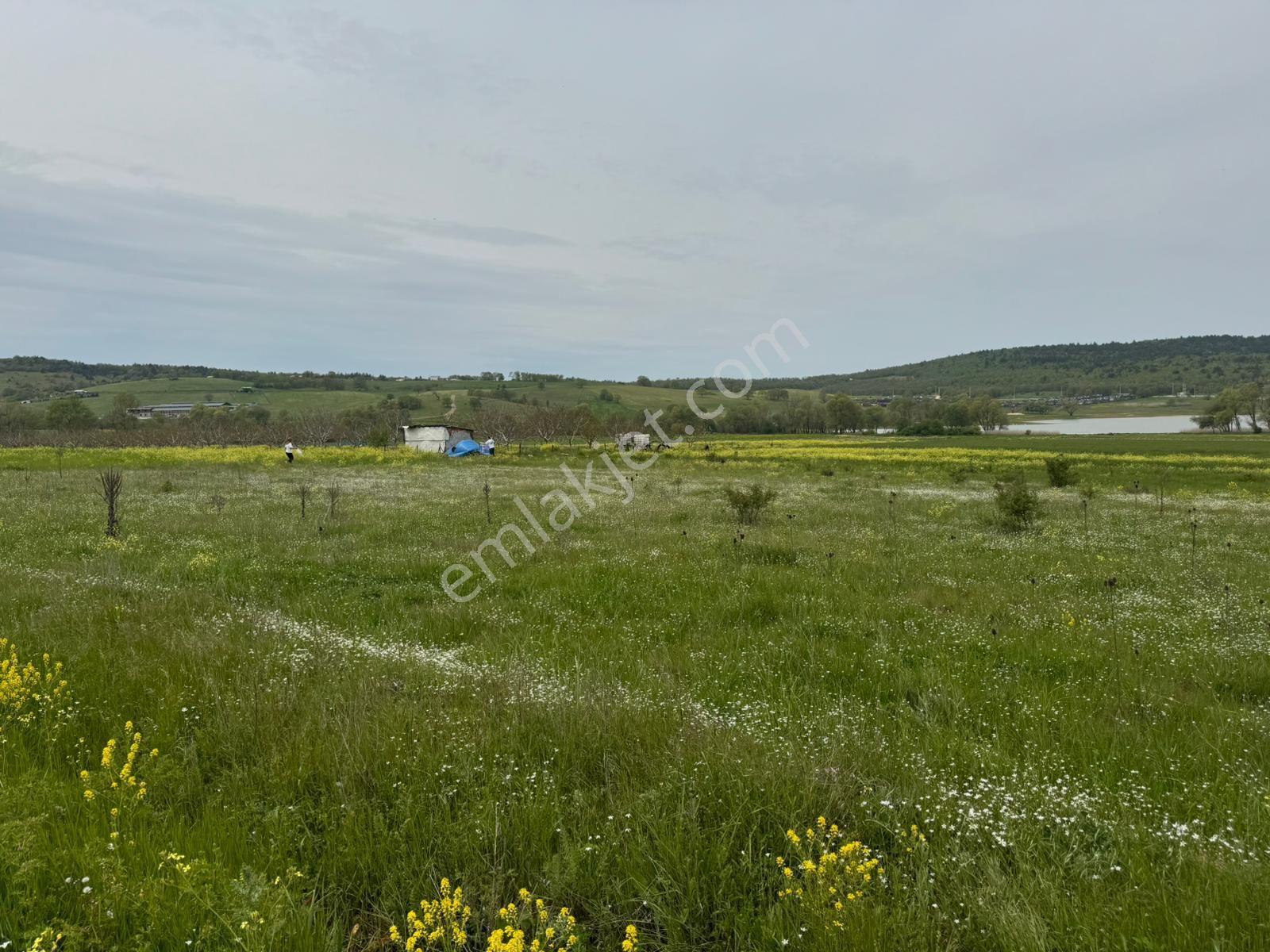 The Point Gayrimenkul 'den Dağyenice Göleti Yakınında Satılık 2.100 M² Yatırımlık Tarla — fotoğraf 5