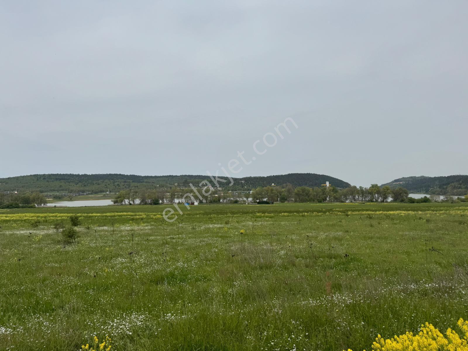 The Point Gayrimenkul 'den Dağyenice Göleti Yakınında Satılık 2.100 M² Yatırımlık Tarla — fotoğraf 7