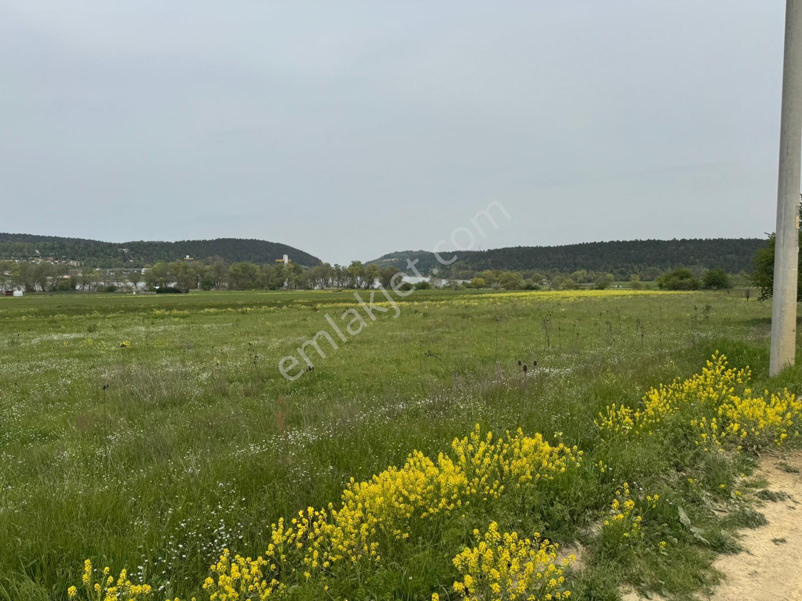 The Point Gayrimenkul 'den Dağyenice Göleti Yakınında Satılık 2.100 M² Yatırımlık Tarla — fotoğraf 9