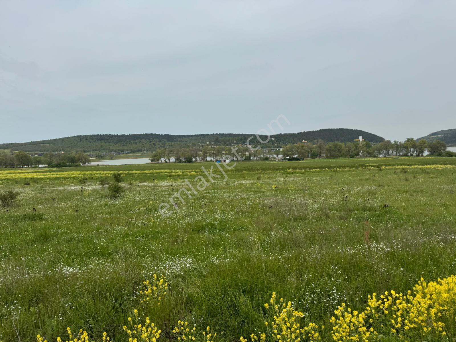 The Point Gayrimenkul 'den Dağyenice Göleti Yakınında Satılık 2.100 M² Yatırımlık Tarla — fotoğraf 10