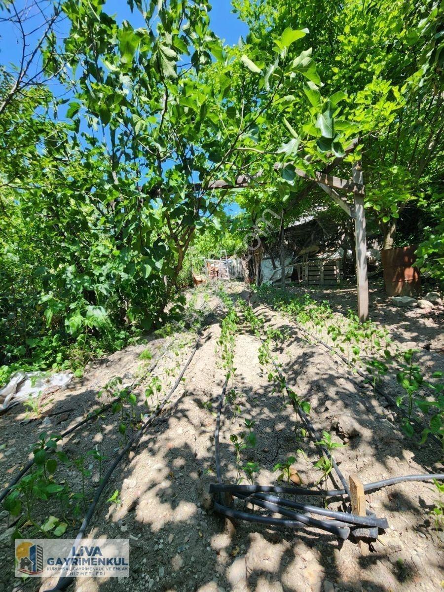 Karabük Safranbolu Babasultan Mahallesinde Satılık 2 Katlı Tarihi Konak Ve Bahçesi, — fotoğraf 31