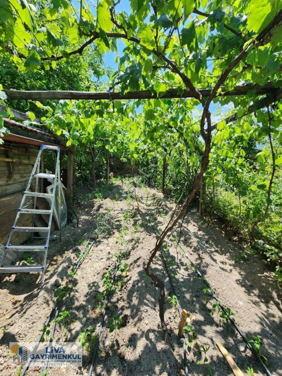 Karabük Safranbolu Babasultan Mahallesinde Satılık 2 Katlı Tarihi Konak Ve Bahçesi, — fotoğraf 33