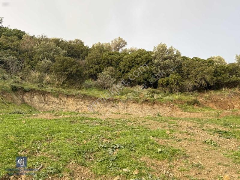Foça Yenifoça'da Deniz Manzaralı Arsa — fotoğraf 2