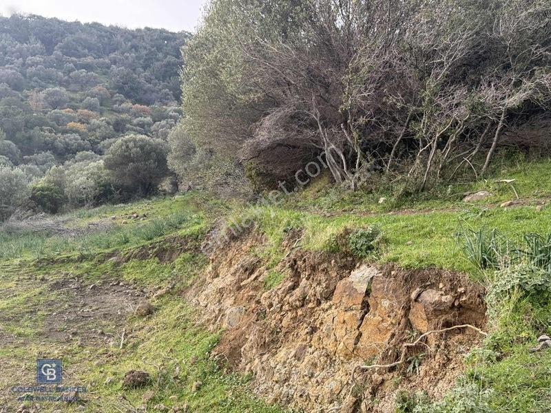 Foça Yenifoça'da Deniz Manzaralı Arsa — fotoğraf 3