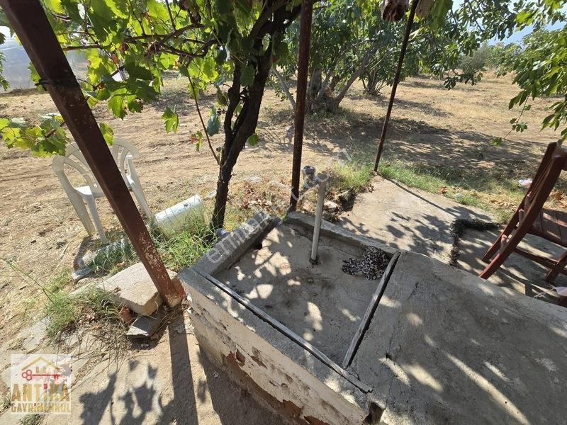 Antika'dan Birgi İrimagzın Da Elektirik Suyu Olan Satılık Bahçe — fotoğraf 33