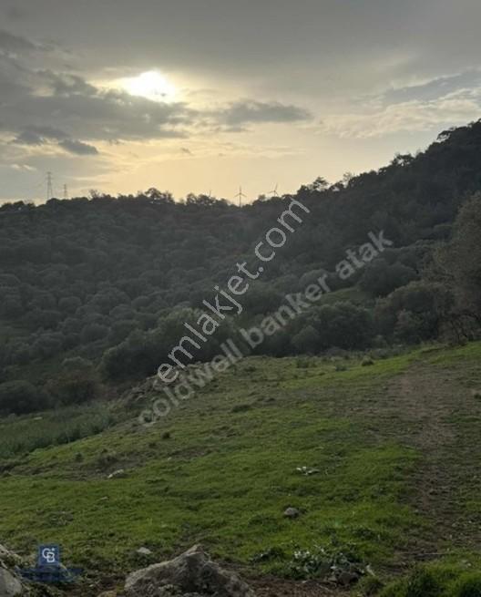 Yeni Foça Cumhuriyet Mahallesi'nde Deniz Manzaralı Satılık Arsa — fotoğraf 2