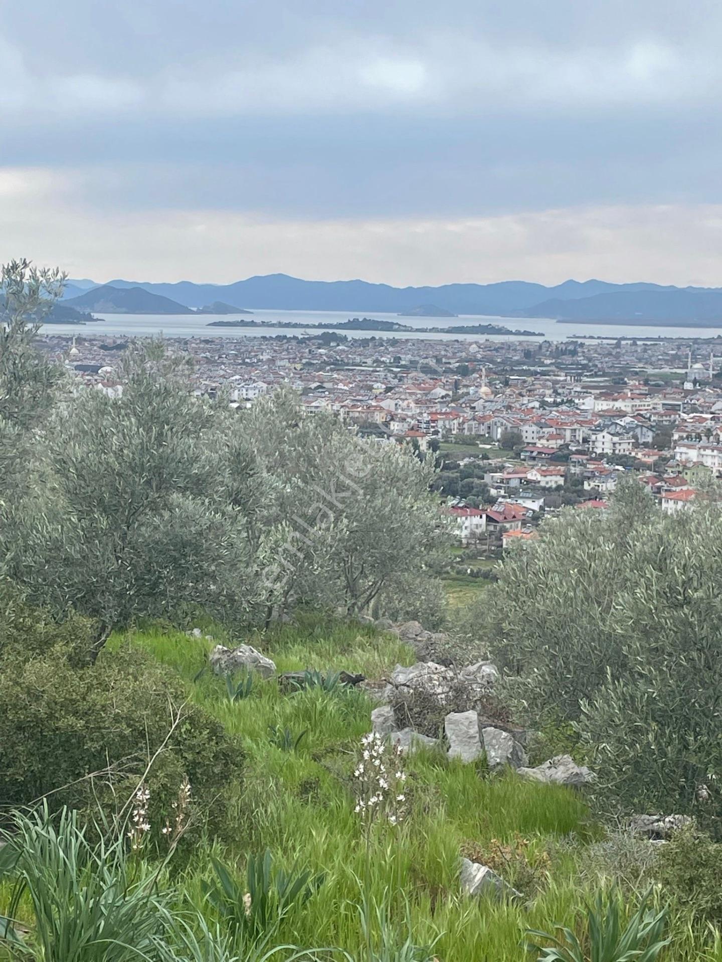 Fethiye Patlangıç Mahallesi Satılık 785m2 Müstakil Tapu Tarla — fotoğraf 2