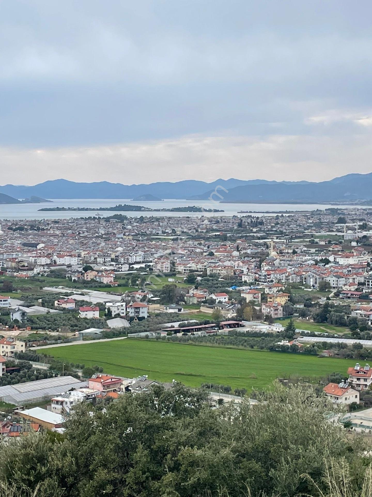Fethiye Patlangıç Mahallesi Satılık 785m2 Müstakil Tapu Tarla — fotoğraf 3