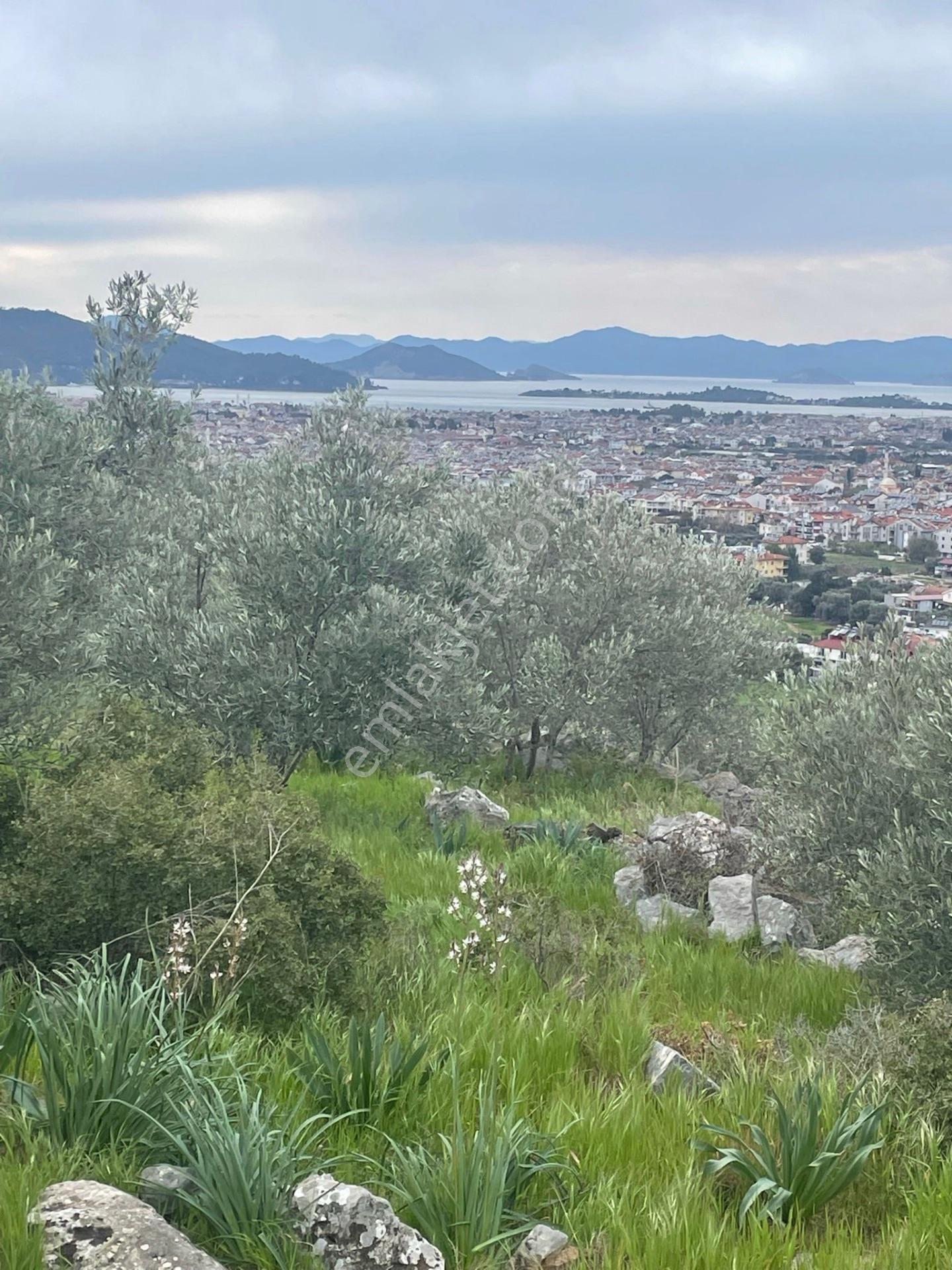 Fethiye Patlangıç Mahallesi Satılık 785m2 Müstakil Tapu Tarla — fotoğraf 4