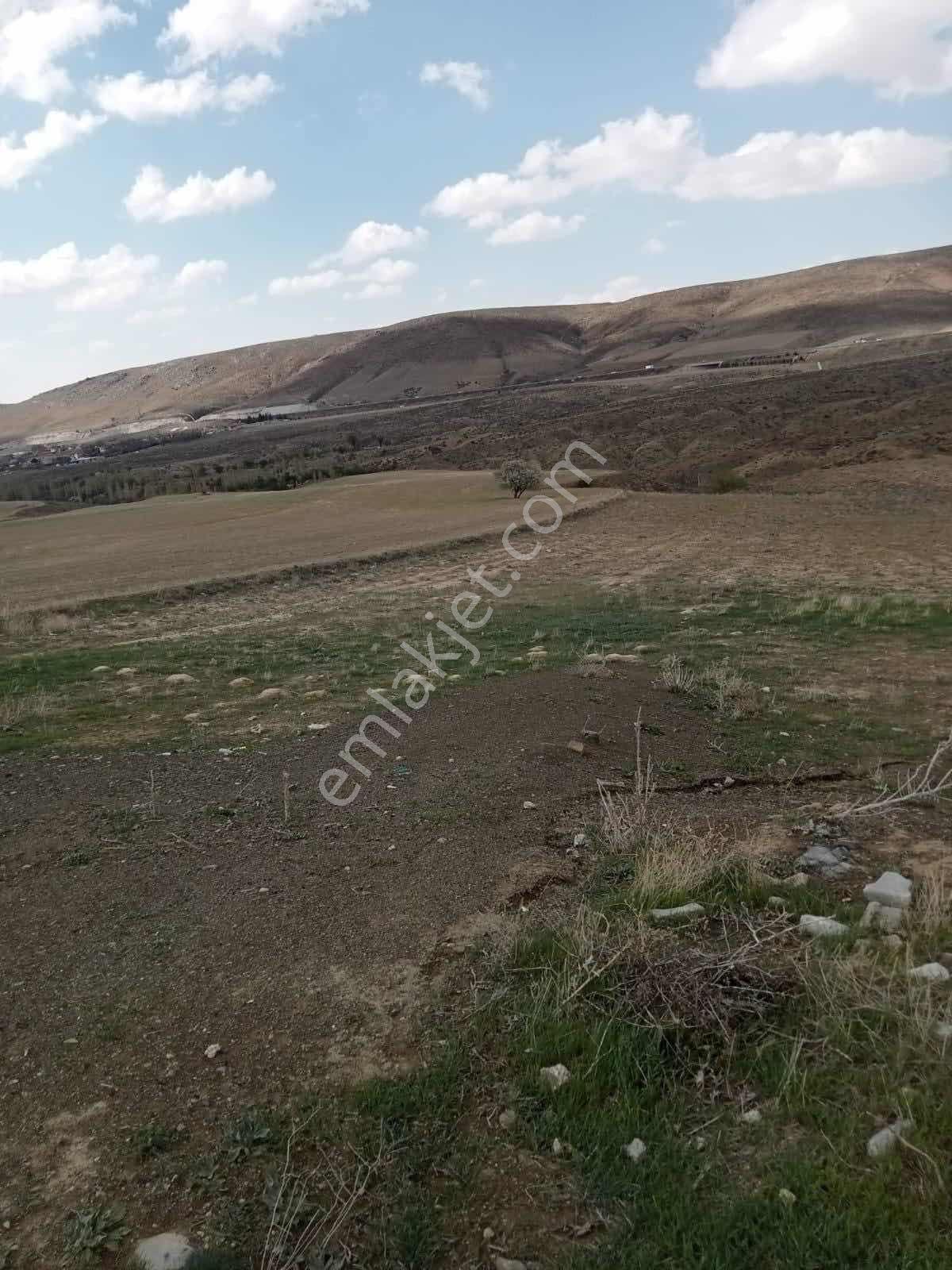 Emin Emlak Niğde Ulukışla Güney Köyü 10 Dönüm Tarla