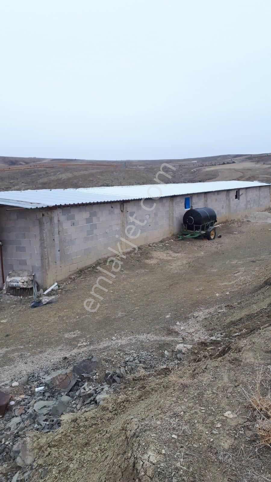 Emin Emlak Niğde Ulukışla Güney Köyü 10 Dönüm Tarla — fotoğraf 3