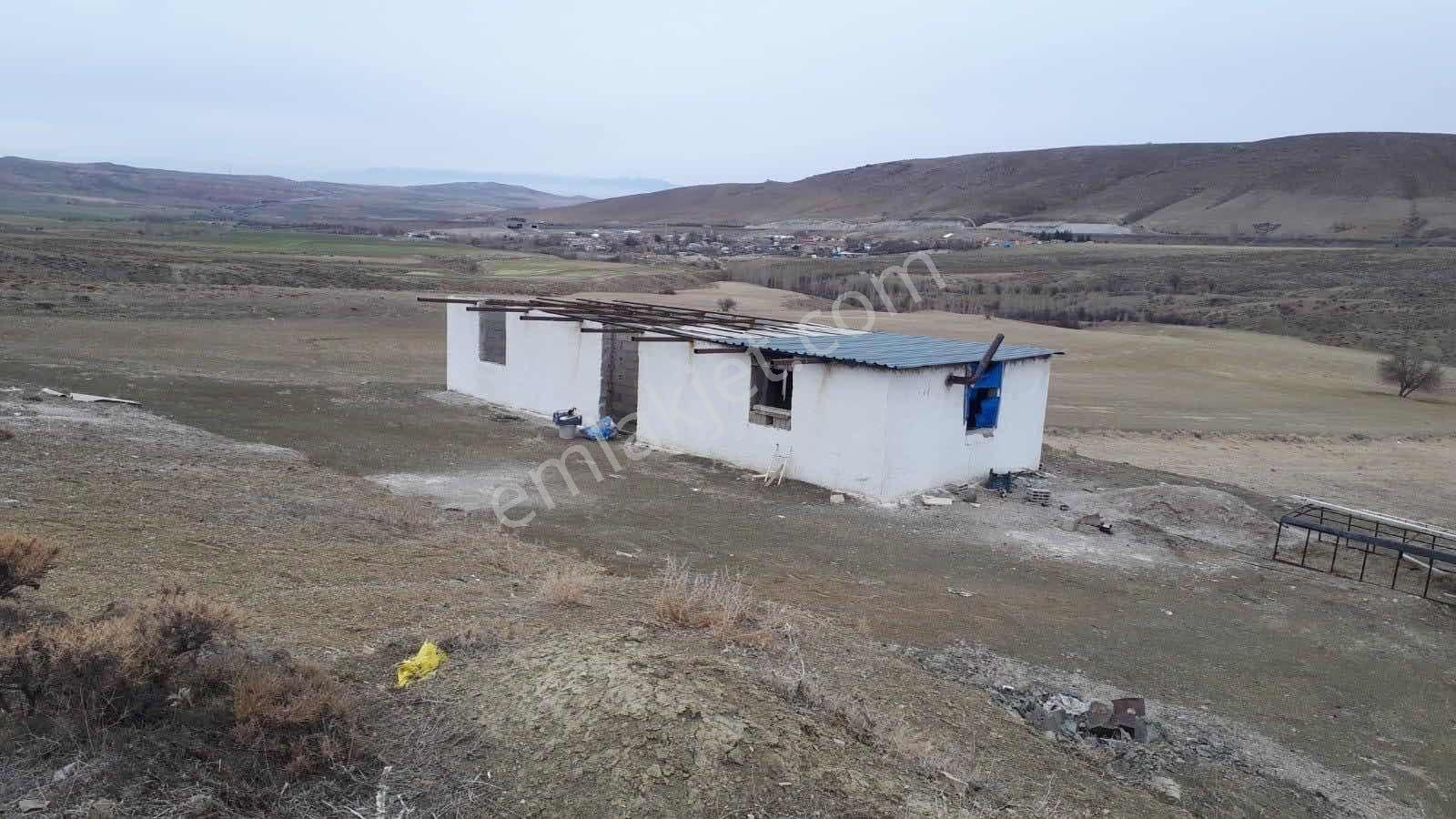 Emin Emlak Niğde Ulukışla Güney Köyü 10 Dönüm Tarla — fotoğraf 4