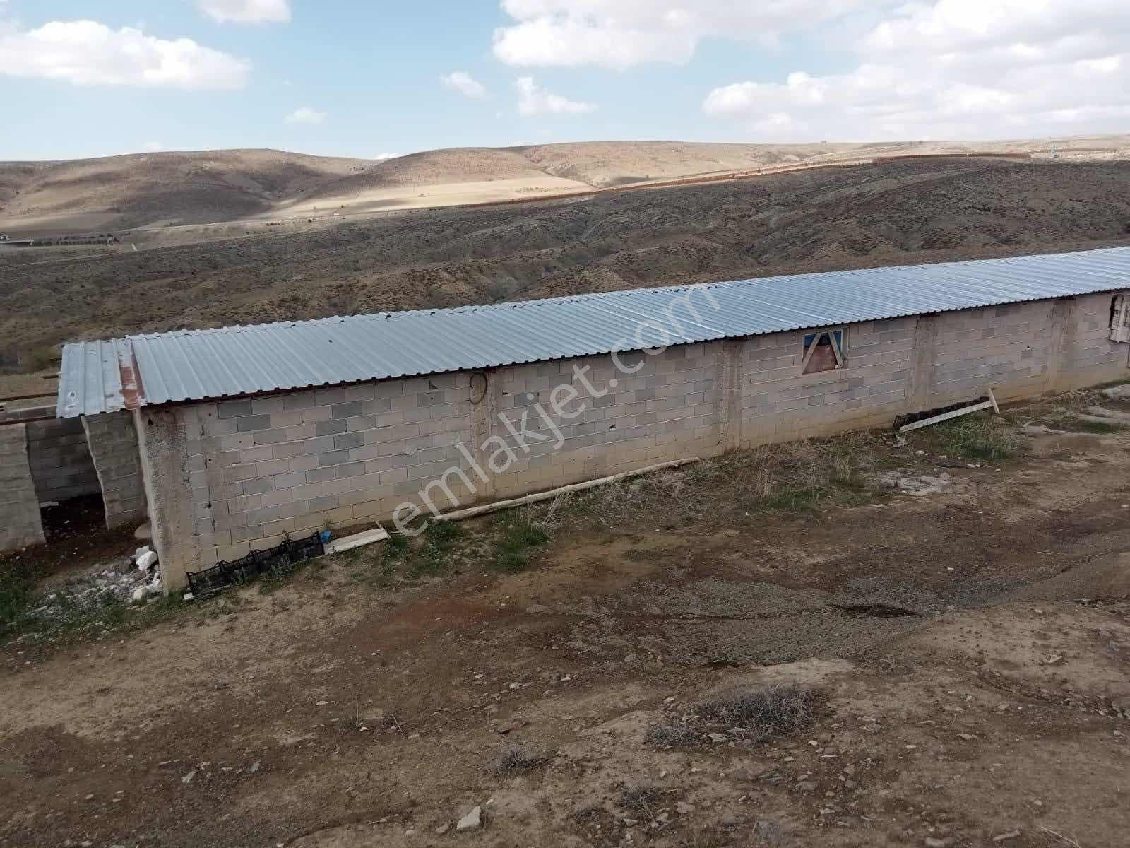 Emin Emlak Niğde Ulukışla Güney Köyü 10 Dönüm Tarla — fotoğraf 5