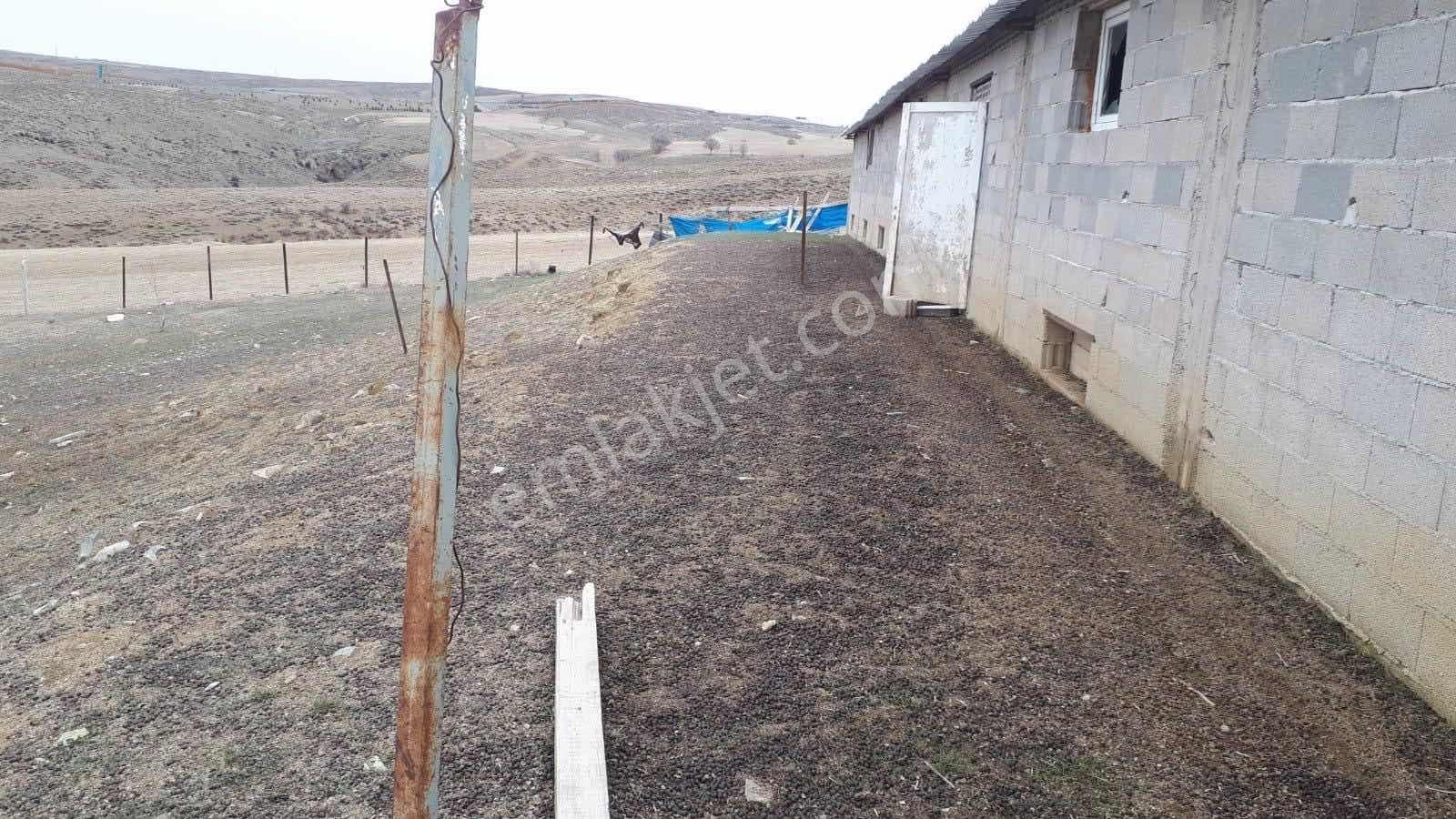 Emin Emlak Niğde Ulukışla Güney Köyü 10 Dönüm Tarla — fotoğraf 6