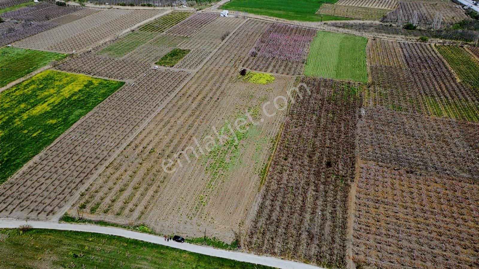 Çanakkale Umurbey Ovasında Boğaza Ve Köprüye Nazır Arazi — fotoğraf 3
