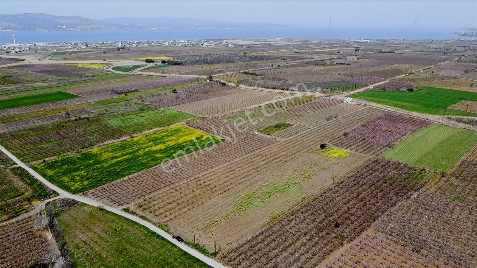 Çanakkale Umurbey Ovasında Boğaza Ve Köprüye Nazır Arazi — fotoğraf 4