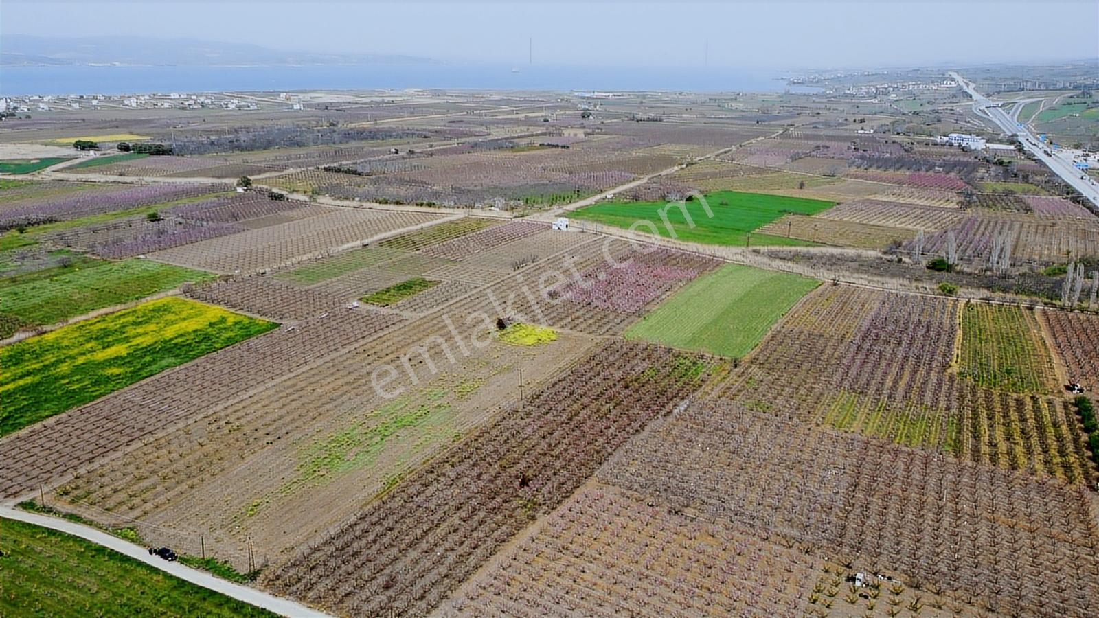 Çanakkale Umurbey Ovasında Boğaza Ve Köprüye Nazır Arazi — fotoğraf 5