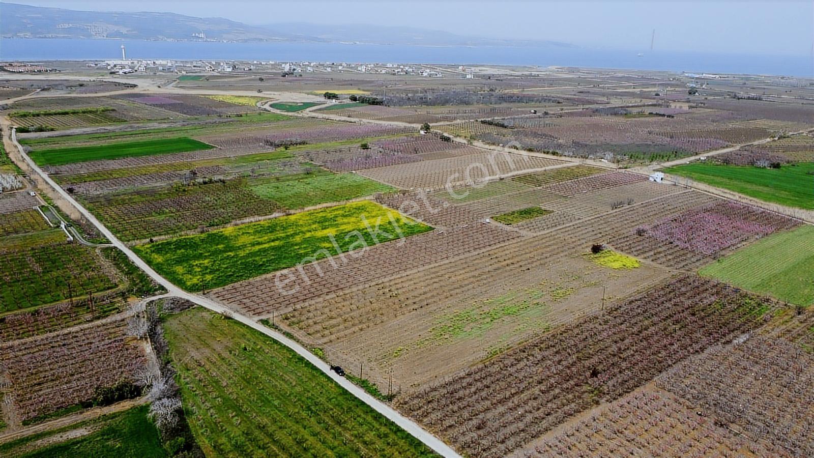 Çanakkale Umurbey Ovasında Boğaza Ve Köprüye Nazır Arazi — fotoğraf 6