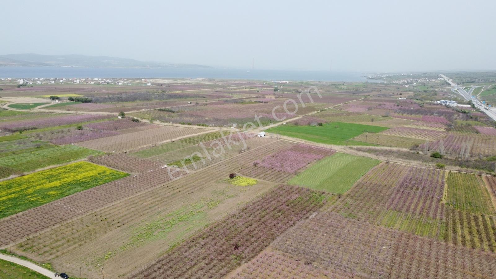 Çanakkale Umurbey Ovasında Boğaza Ve Köprüye Nazır Arazi — fotoğraf 7