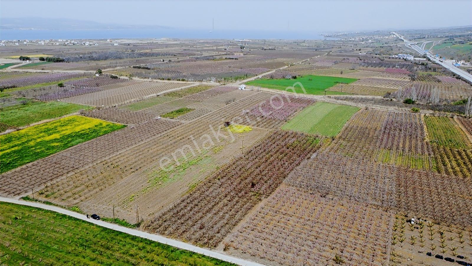 Çanakkale Umurbey Ovasında Boğaza Ve Köprüye Nazır Arazi — fotoğraf 8